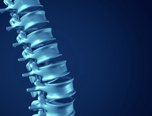 The Spine: Gateway to Health
